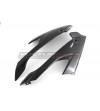 Carenados lateral de carbono - BMW S 1000RR 2019 / 2021