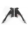 Carenados lateral de carbono - BMW S 1000RR 2019 / 2021