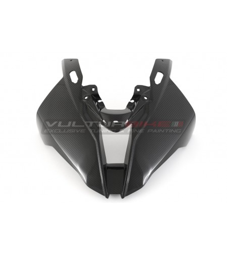 Carbon Windschutzscheibe - BMW S 1000RR 2019 / 2023