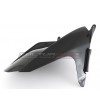 Carbon Kotflügel hinten - BMW S 1000RR 2019 / 2023