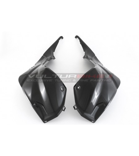 Carbon Tank Seitenverkleidungen - BMW S 1000RR 2019 / 2023