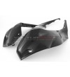 Carbon Tank Side Panels - BMW S 1000RR 2019 / 2023