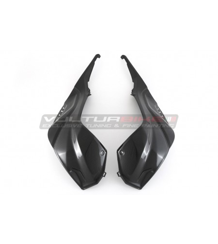 Paneles laterales del tanque de carbono - BMW S 1000RR 2019 / 2023