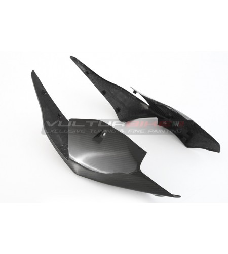 Zweisitzer Rennrad Carbon Heck - BMW S 1000RR 2019 / 2021