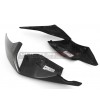 Cola de carbono de carretera biplaza - BMW S 1000RR 2019 / 2021