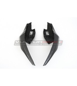 Two-seater road carbon tail - BMW S 1000RR 2019 / 2021