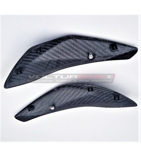 Carbon-Seitenteile hinten Ducati Hypermotard 950 