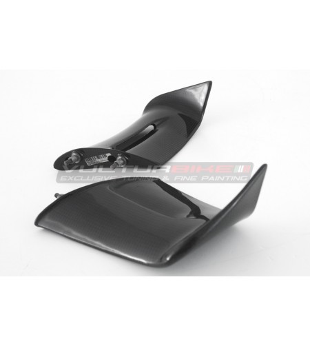 Paire d’ailes en carbone pour DUCATI PANIGALE V4 2022/23 