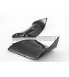 Coppia ali in carbonio per DUCATI PANIGALE V4 2022/23 