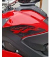 Decalcomanie per serbatoio - BMW S1000XR 2015 / 2019 