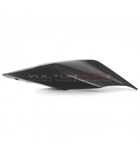 Carbon Heck - Ducati Panigale V2 - V4 Streetfighter V2-V4