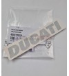 Original decal DUCATI - mm.160 x 29 (Silver) 