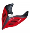Diseño especial de cola de carbono - Ducati Panigale V4 / V4S / V4R / V2 / Streetfighter V4 / V2