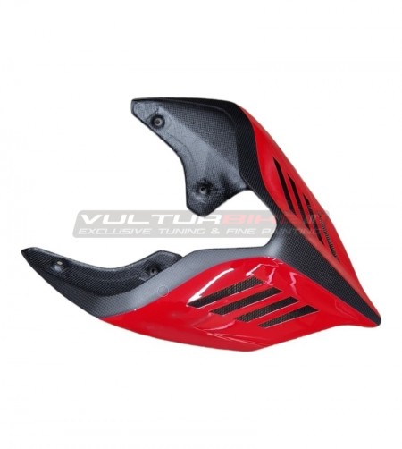 Carbon Heck Sonderausführung - Ducati Panigale V4 / V4S / V4R / V2 / Streetfighter V4 / V2