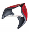 Codino in carbonio special design- Ducati Panigale V4 / V4S / V4R / V2 / Streetfighter V4 / V2