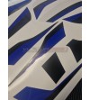 Black and blue stickers kit complete - BMW S1000RR 2019 / 2021