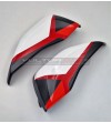 Couvercle de boîtier en fibre de carbone avec un nouveau design - Ducati Multistrada V4 Pikes Peak 