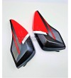 Funda de maletas de fibra de carbono personalizada - Ducati Multistrada V4 / Pikes Peak / Rally