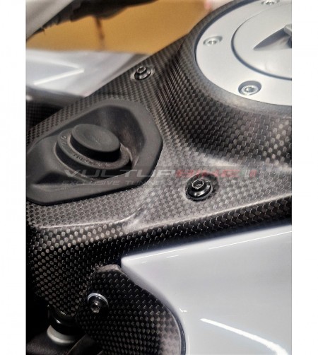 Carbon Fiber Glove Compartment Cover - Ducati Multistrada V4 2021 / 2025
