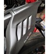 Custom Carbon Heck Vulturbike - Ducati Panigale / Streetfighter 