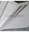 Kit de pegatinas 2 rayas - cola Ducati Panigale / Streetfighter V4 / V4S / V2 / SP