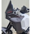 Paar Carbon-Seitenverkleidungen für Ducati DesertX