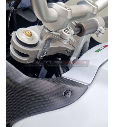 Paire de carénages côté carbone pour Ducati DesertX