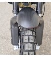 Carbon Kotflügel vorne für Ducati DesertX