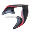 Neues Custom-Carbon-Heckdesign SP - Ducati Panigale / Streetfighter