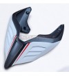 Nouvelle queue en carbone sur mesure en soie blanche arctique - Ducati Panigale V2