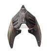 Nueva cola de carbono personalizada verde tormenta - Ducati Streetfighter V2