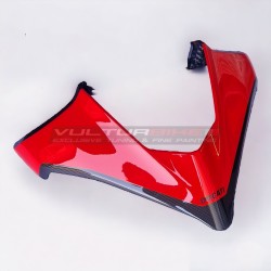 Windscreen and carbon tip for Ducati Multistrada V4 / V4S