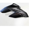 Carbon Verkleidungssatz - Ducati Streetfighter V4 / V4S / V4SP2
