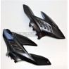 Carbon Verkleidungssatz - Ducati Streetfighter V4 / V4S / V4SP2