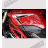 Kit adesivi tricolore - Ducati Streetfighter 