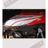 Kit adesivi tricolore - Ducati Streetfighter 