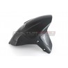 Carbon front fender - Ducati Diavel V4 from 2022 