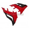 Special design lower side fairings - Ducati Streetfighter V4 / V4S 