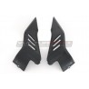 Carbon tank side panels - Ducati Diavel V4 / V4S