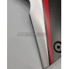 Paneles laterales de carbono - Ducati Multistrada V4 Rally