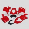Set de pista ORIGINAL versión carenados - Ducati Panigale V4