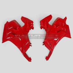 Original lackierte Kettenverkleidungen - Ducati Panigale V4