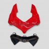Kit de carenados versión de oruga pintada original - Ducati Panigale V4