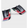 Custom Carbon Wings für DUCATI PANIGALE V4 2022 /2023