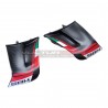 Custom Carbon Wings für DUCATI PANIGALE V4 2022 /2023