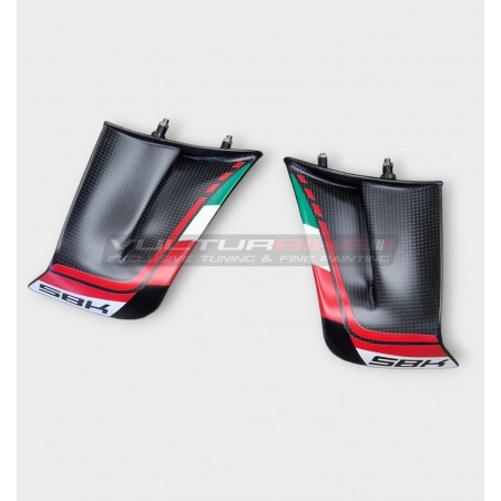 Custom Carbon Wings für DUCATI PANIGALE V4 2022 /2023