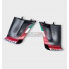 Custom Carbon Wings für DUCATI PANIGALE V4 2022 /2023