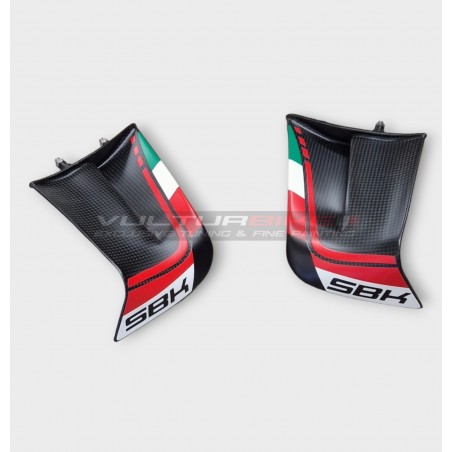 Custom Carbon Wings für DUCATI PANIGALE V4 2022 /2023