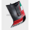 Custom Carbon Wings für DUCATI PANIGALE V4 2022 /2023