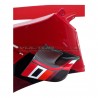Ailes Carbone Custom pour DUCATI PANIGALE V4R 2023
